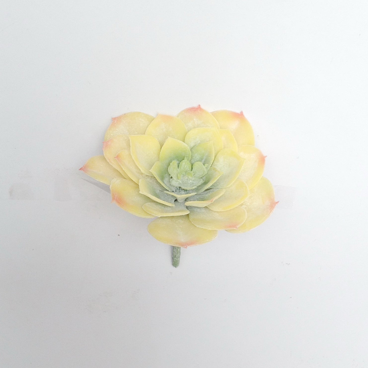 4.5"D PL. HEN SUCCULENT PICK