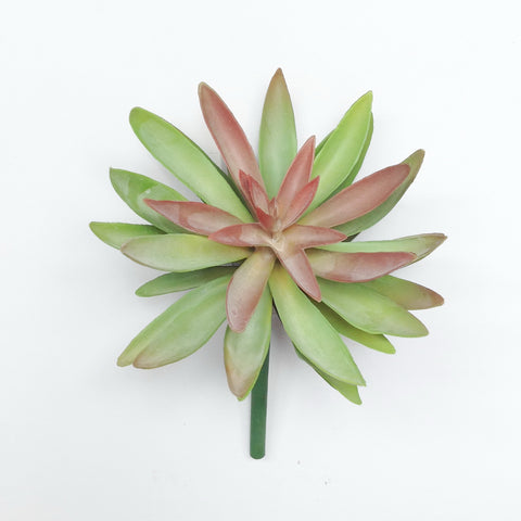 6.5" LOTUS SUCCULENT PICK