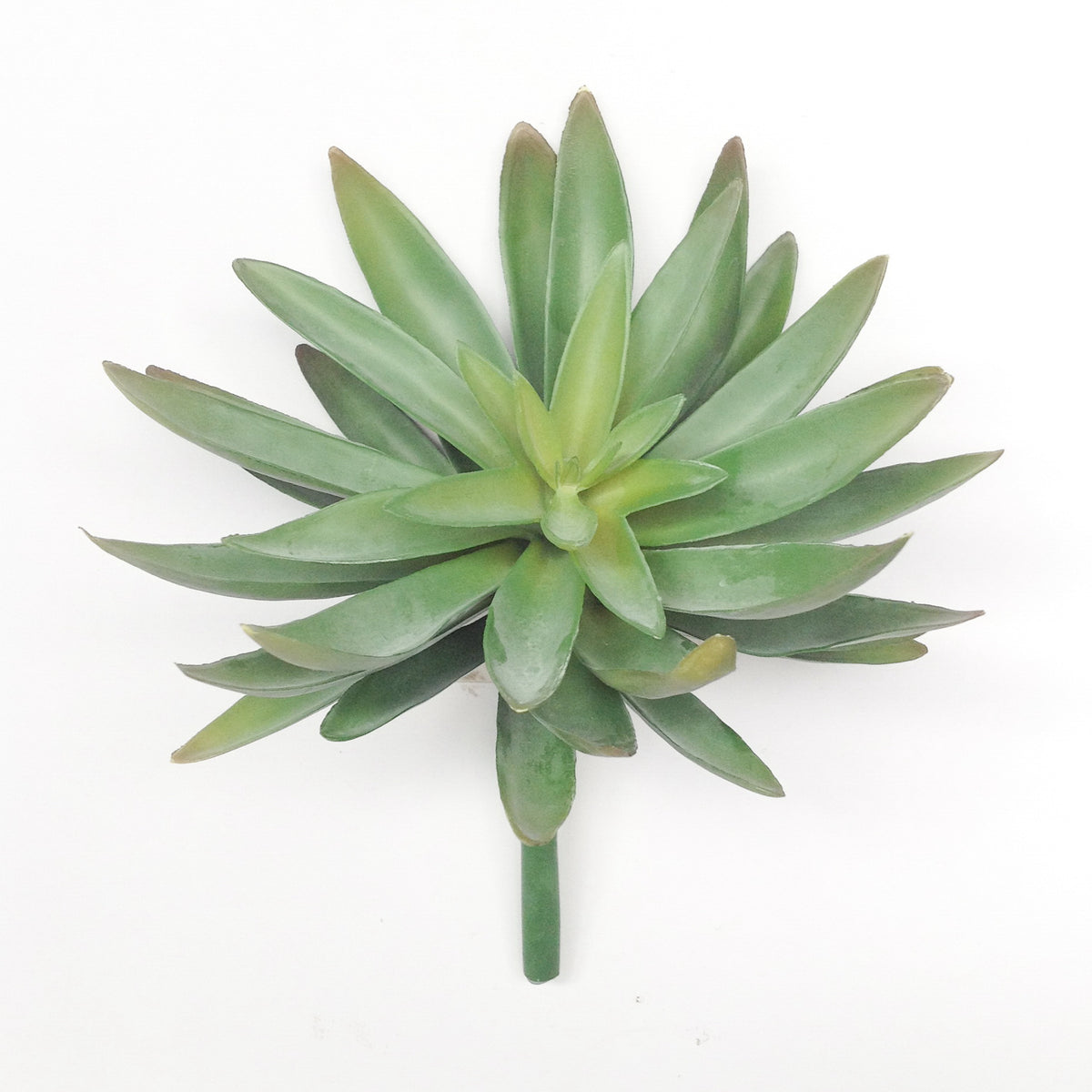 6.5" LOTUS SUCCULENT PICK