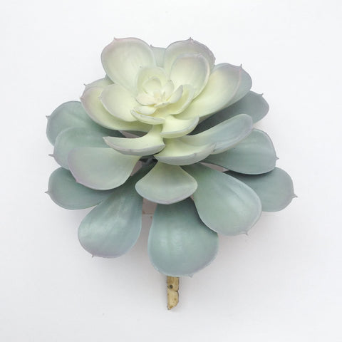 6" HEN & CHICKEN SUCCULENT PICK