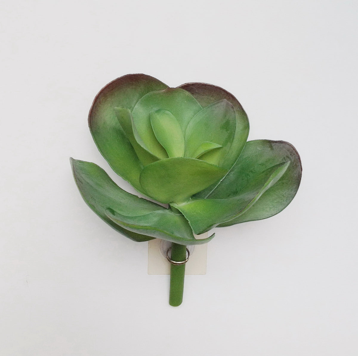 10"D BROAD LEAF SUCCULENT PICK