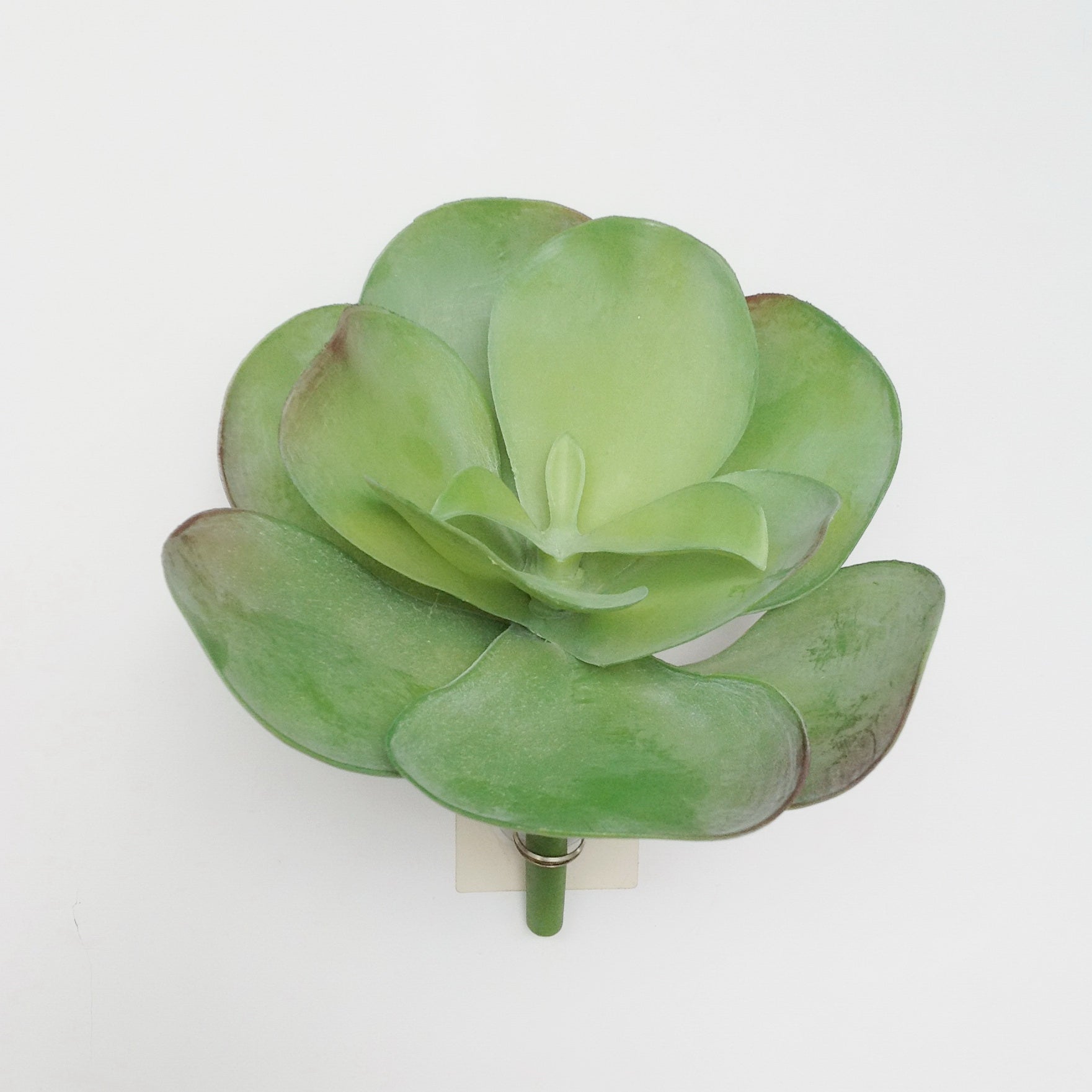 10"D BROAD LEAF SUCCULENT PICK