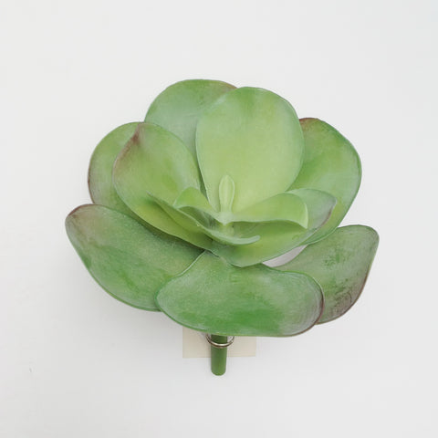 10"D BROAD LEAF SUCCULENT PICK