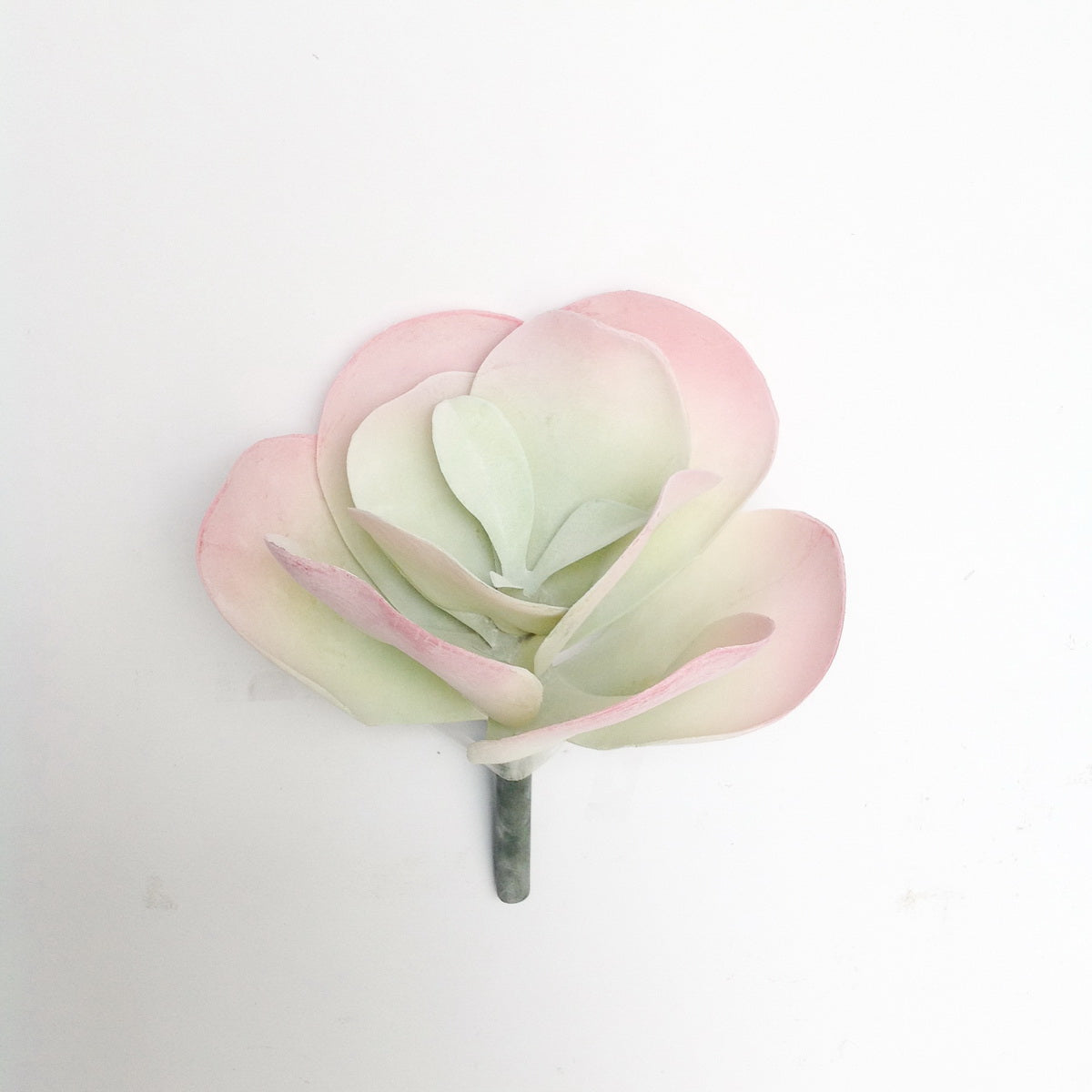 10"D BROAD LEAF SUCCULENT PICK