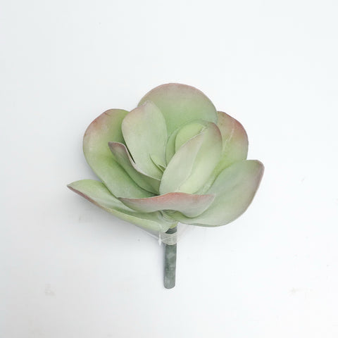 10"D BROAD LEAF SUCCULENT PICK