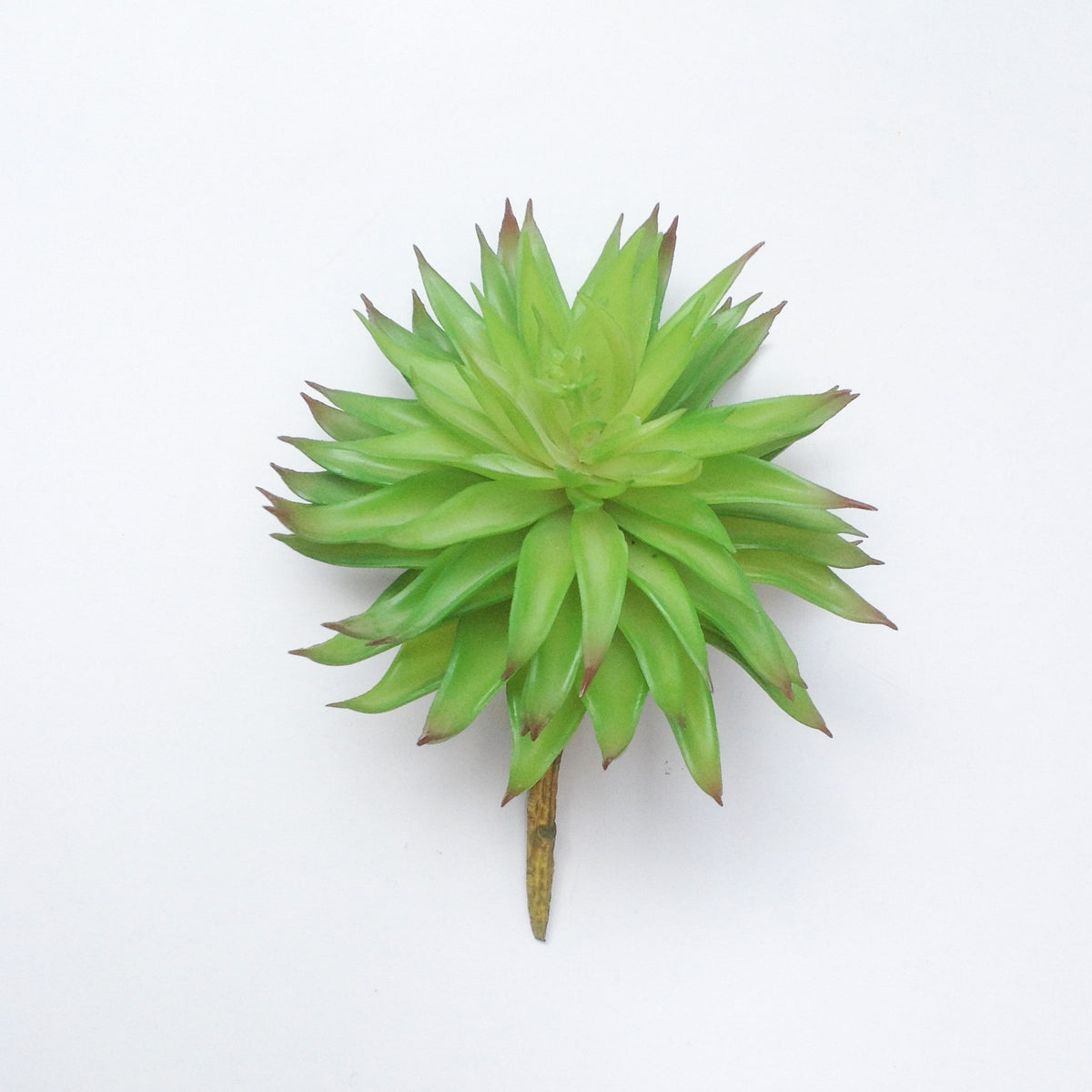 7" LOTUS SUCCULENT PICK