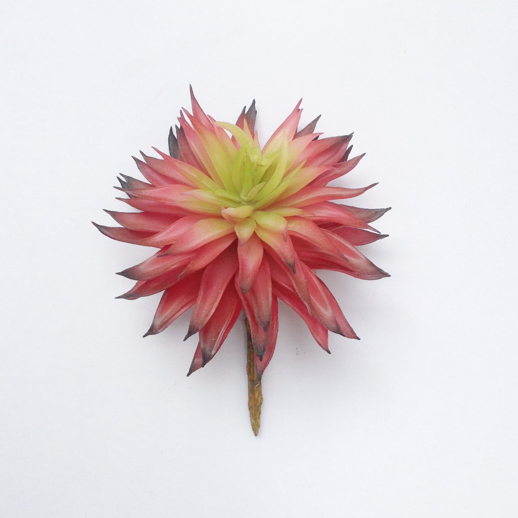 7" LOTUS SUCCULENT PICK