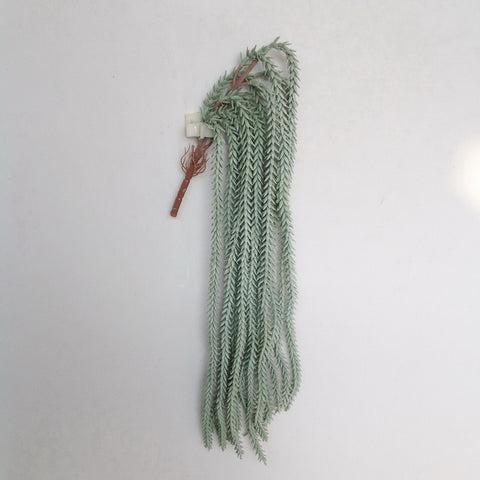 25" HNG SUCCULENT SPRAY