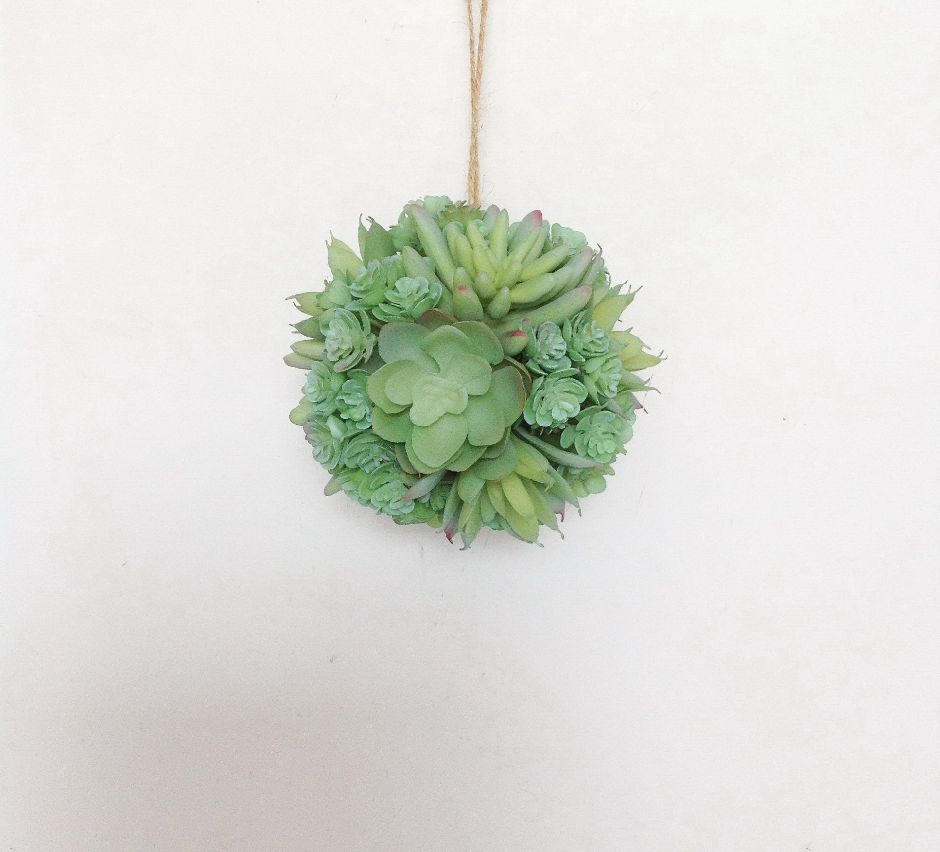 4" SUCCULENT ORNAMENT