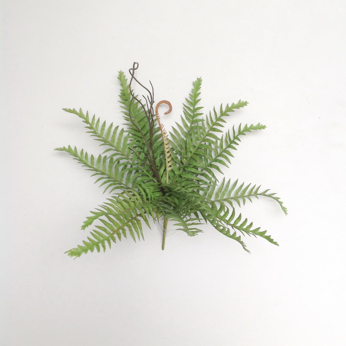 12" FERN BUSH